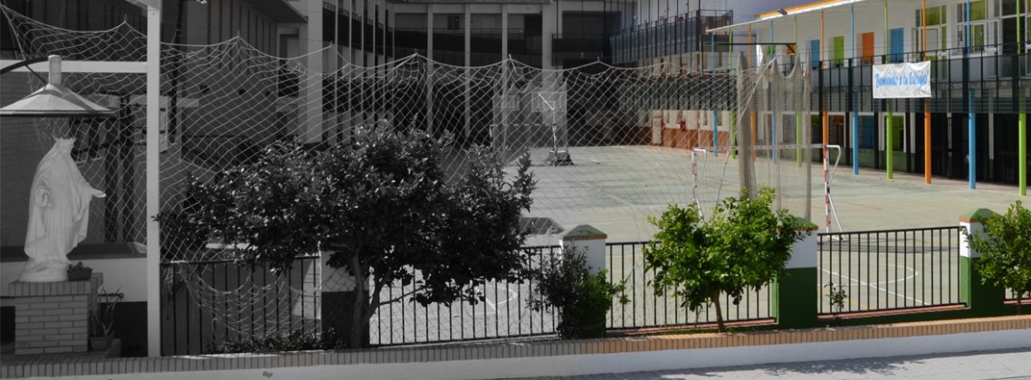 BANNER - Nuestra historia